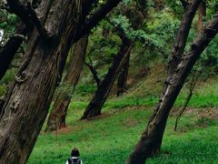 -七曲山风景区