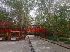 -哈密回王府景区