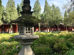 -洛阳白马寺