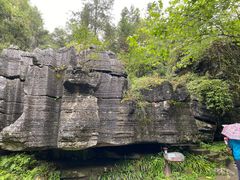 -梭布垭石林景区