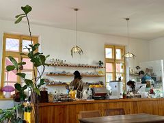 -春风十里咖啡馆