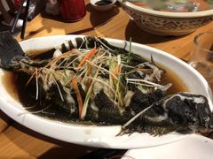 -山外山菜馆(玉泉路店)