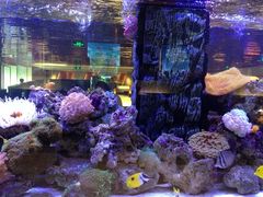 iphone_upload_pic-西玛西餐厅(乐晟广场店)