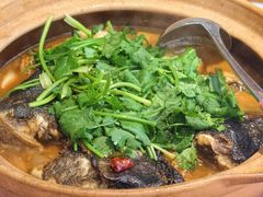 -九道菜有鸡鱼头(石鼓路店)