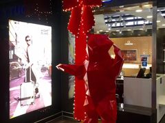 -谢列梅捷沃国际机场