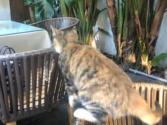 -云里小坐·小院里·团建·宴请·下午茶(三圣乡店)