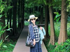 -溱湖国家湿地公园