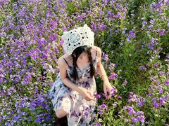 -杭州湾海上花田景区