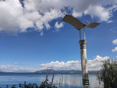 -洱海月湿地公园