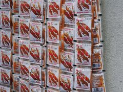 -正宗杨记普洱酸醋米线(总店)