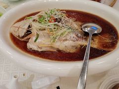 清蒸彩虹鲷鱼-顺峰(南二环店)