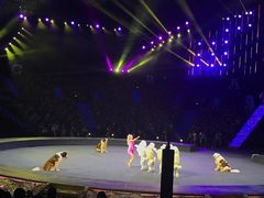 -珠海横琴长隆《卡卡虎奇遇记》