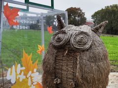 -嘉北郊野公园
