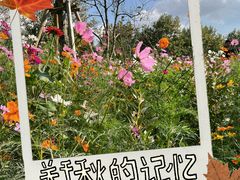 -世纪公园-世纪春沁园