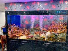 -渔洲情海鲜酒家