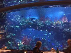 -迪拜帆船酒店海底餐厅