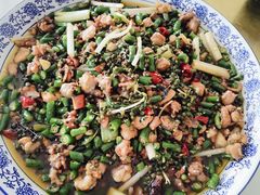 -铁山坪森林公园