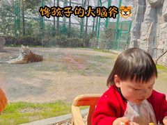 -上海野生动物园老虎餐厅