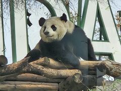 -武汉动物园