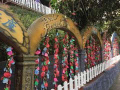 -金马仑薰衣草花园(Cameron Lavender)