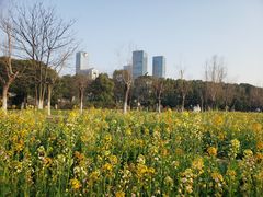 -艾溪湖湿地公园