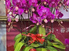 -卡罗酒店(东门晒布地铁站店)