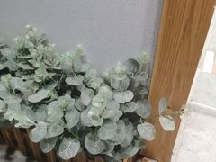 -呷贺盐酥鸡(抄纸巷店)