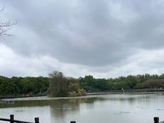 -大湾区中央湿地公园