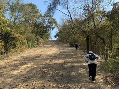 -青龙山国家森林公园