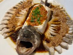 -三强鸽子(中原路店)