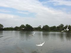 -长兴太湖图影湿地文化园