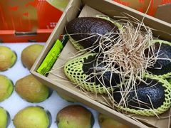 -绚荟城