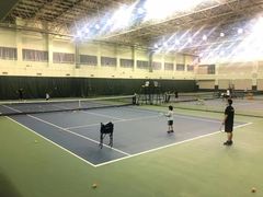 -齐动力网球(国贸店)