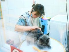 -帕帕拉兹宠物(亚洲旗舰店)