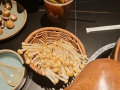 -季季山·云南野生菌火锅(上海首店)
