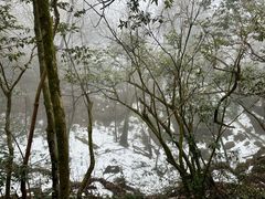 -张家界天门山国家森林公园