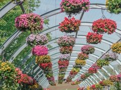 -上海辰山植物园