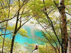 -叠溪松坪沟景区