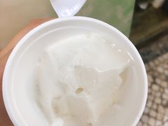 -洪馨椰子