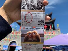 -西霞口神雕山野生动物世界