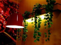 -永和大王(龙德广场店)