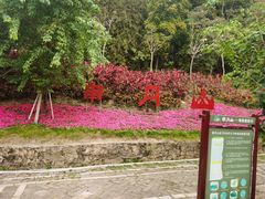 -南丹山森林王国