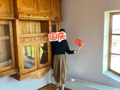 -金山农民画村-枫泾波兰倒置屋