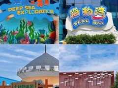 -海合安武汉极地海洋公园