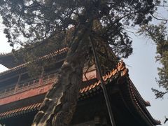 -鲁城往事(游客中心店)