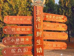 -五龙山野生动物王国