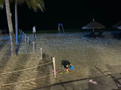 -宴悦海鲜餐厅Driftwood·游水海鲜·牛排(亚龙湾瑞吉店)