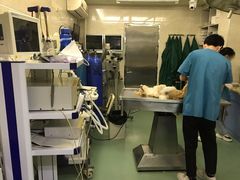 -动物缘宠物医院·骨科·猫科(西二环店)