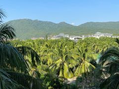 -三亚亚龙湾天域度假酒店