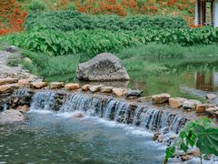 -广州市石门国家森林公园